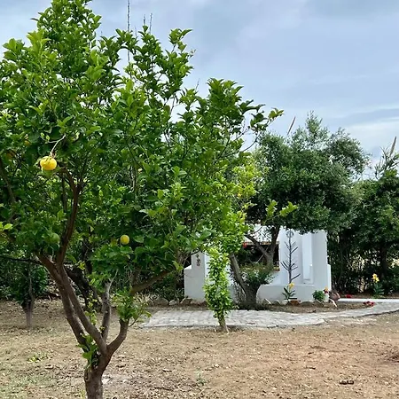 Alamena Ii بيت للعطل